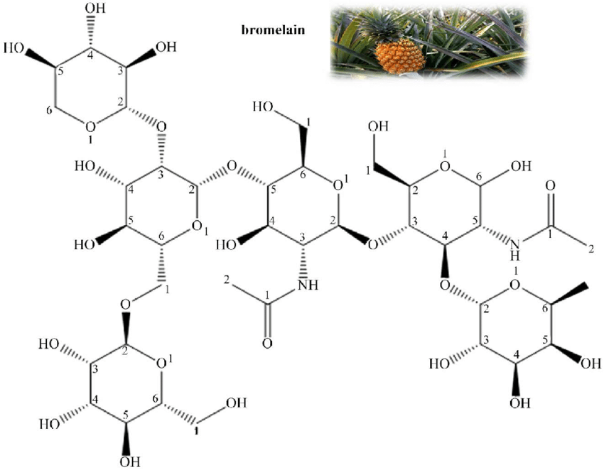 image source: ResearchGate Struktur enzim bromelain